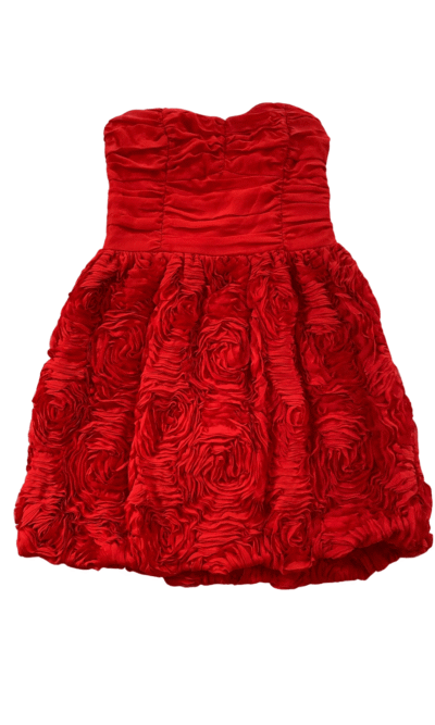Pre -Loved Red H&M Dress