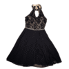 Pre-Loved Black/Nude Macy's Dress 2 Pre-Loved Macys Dress in Black Lace and Chiffon