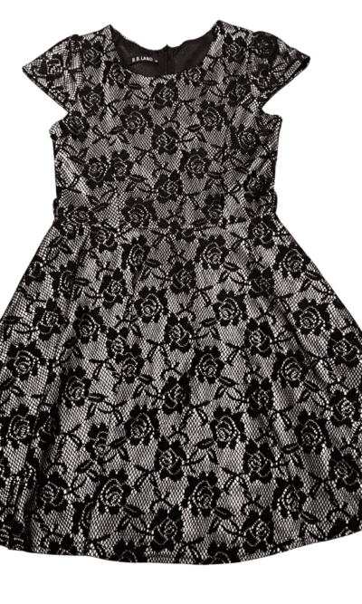 Pre-Loved Black Lace and Nude Cap Sleeve Skater Dress