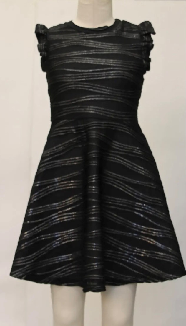 Ava & Yelly Black/Silver Frill Cap Sleeve Skater 1 Ava & Yelly Black/Silver Frill Cap Sleeve Skater Dress