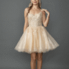 Dancing Queen Party Dress Style 3431 5 Dancing Queen Short Prom Dress Style 3431 in Champagne