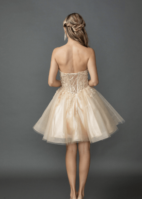 Dancing Queen Party Dress Style 3431 3 Dancing Queen Party Dress Style 3431 - Image 3