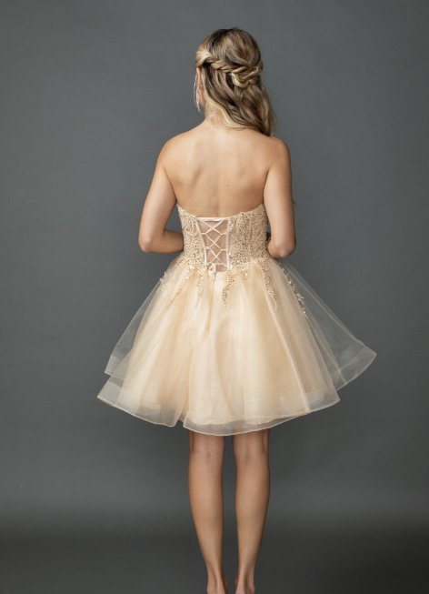 Dancing Queen Party Dress Style 3430 3 Dancing Queen Short Party Dress Style 3430 in Champagne Back