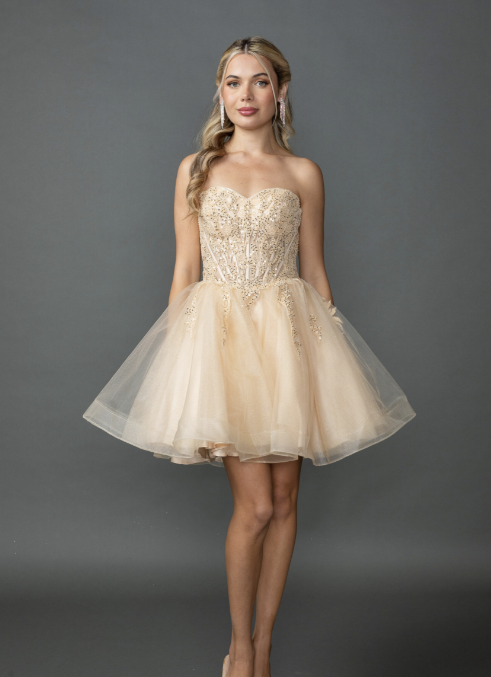 Dancing Queen Party Dress Style 3430 1 Dancing Queen Short Party Dress Style 3430 in Champagne