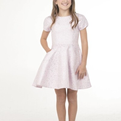 Zoe Ltd Short Sleeve Ava Dress in Lavender Light Tweed